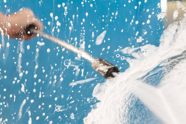 Animal Enclosure Cleaning in West Glens Falls, NY