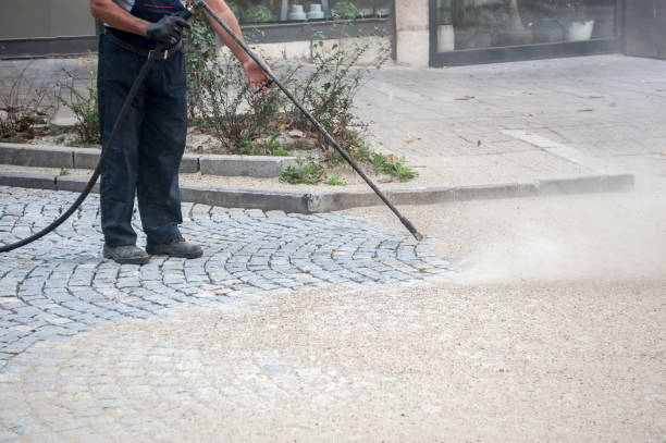 Best Animal Enclosure Cleaning  in West Glens Falls, NY